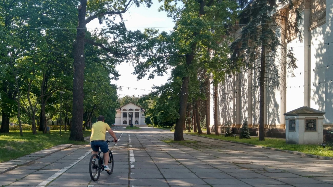 A man riding a bike down a street next to tall trees