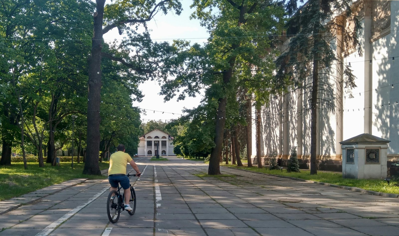 A man riding a bike down a street next to tall trees