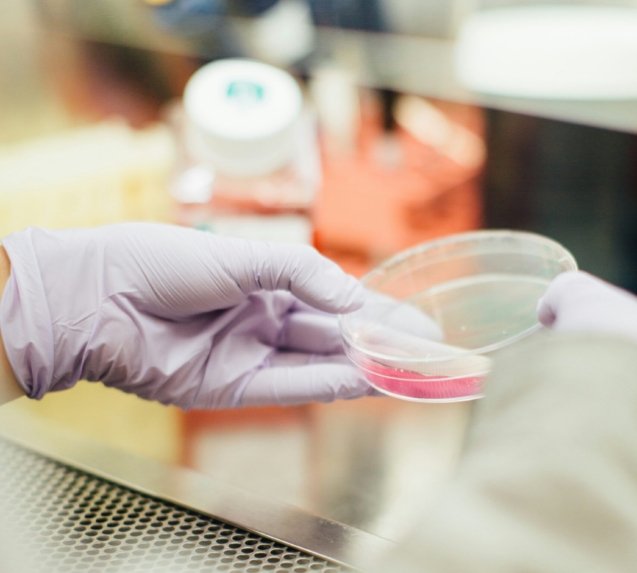 person holding round clear container